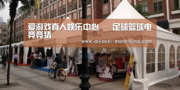 案例标题九