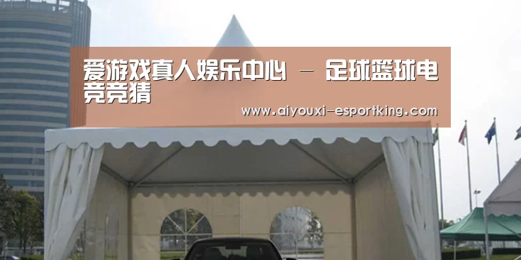 案例标题八