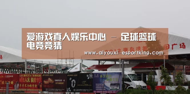 案例标题十