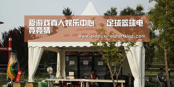 案例标题五