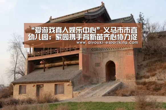 爱游戏电子游艺