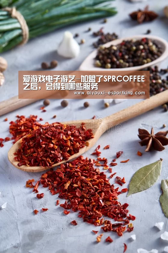 爱游戏电子游艺-加盟了SPRCOFFEE之后,会得到哪些服务(图1) 爱游戏真人娱乐中心