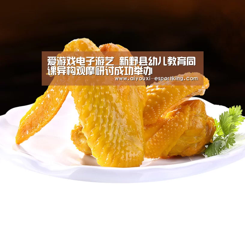 爱游戏电子游艺_新野县幼儿教育同课异构观摩研讨成功举办(图1) 爱游戏真人娱乐中心