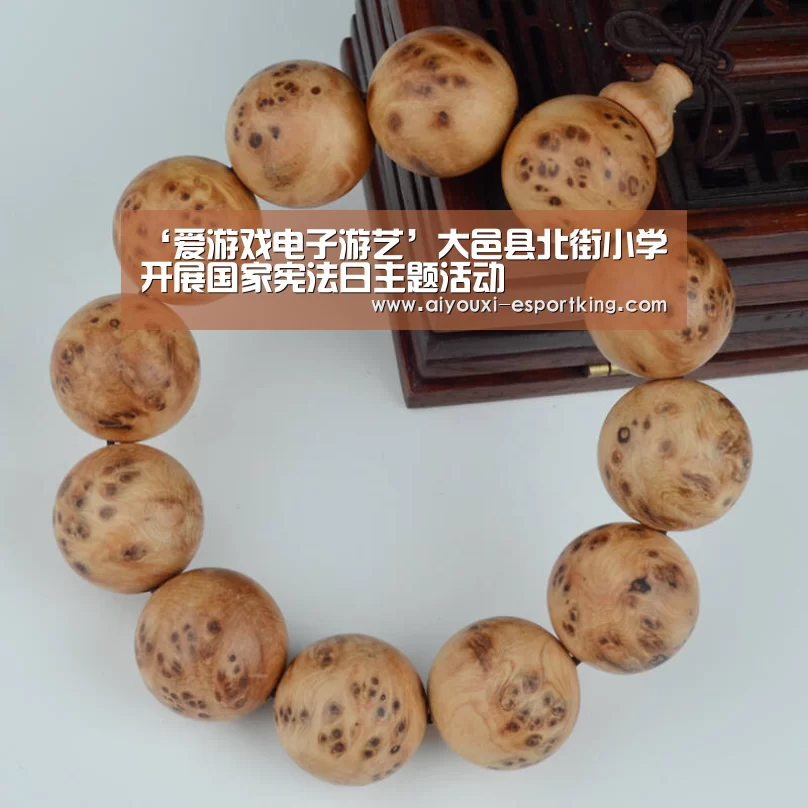 ‘爱游戏电子游艺’大邑县北街小学开展国家宪法日主题活动(图2) 爱游戏电子游艺